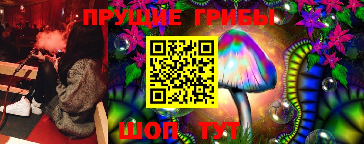 Сердобск  Галлюциногенные грибы GOLDEN TEACHER  Вход с VPN 