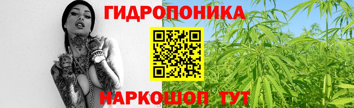 Сердобск  Конопля Ganja  Вход с VPN  Бошки Шишки планчик  Каннабис VHQ  Канабис THC 21% 